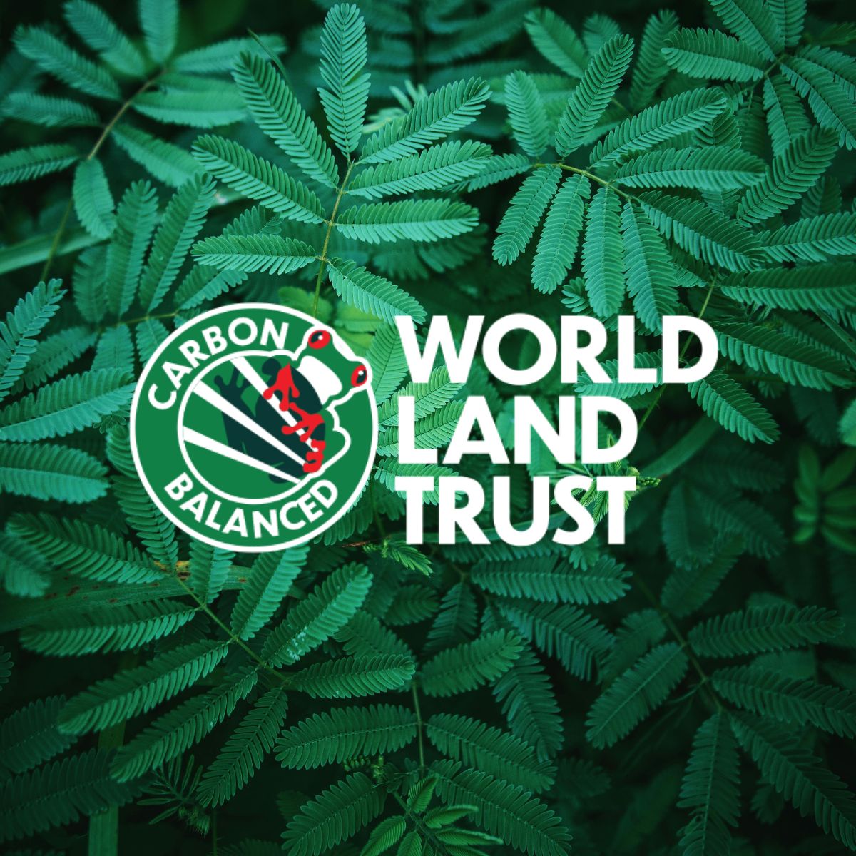 The World Land Trust's Carbon Balanced logo over a tropical leaves background in green hues