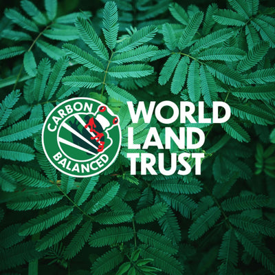 Cotton Bag Co Achieves Carbon Balanced Certification with World Land Trust